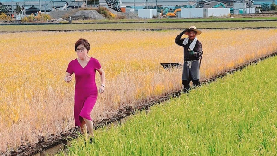 稲田朋美の田んぼ画像大喜利ネタまとめ ピンクワンピースで一言ww