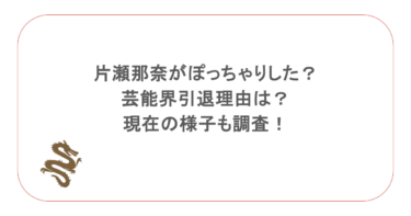 片瀬那奈がぽっちゃりした?芸能界引退理由は?現在の様子も調査!