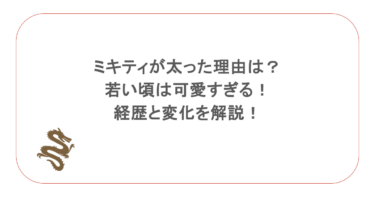 ミキティが太った理由は?若い頃は可愛すぎる!経歴と変化を解説!