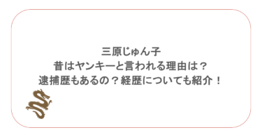 三原じゅん子が昔はヤンキーと言われる理由は?逮捕歴もあるの?経歴についても紹介!